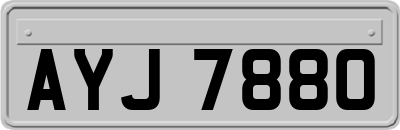 AYJ7880