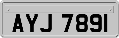 AYJ7891