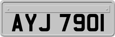 AYJ7901