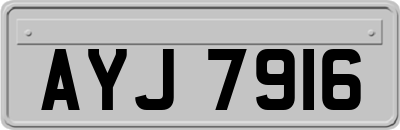 AYJ7916