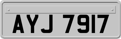 AYJ7917