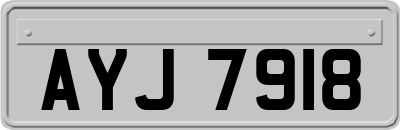AYJ7918