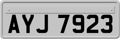 AYJ7923