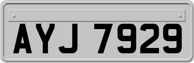 AYJ7929