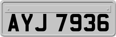 AYJ7936