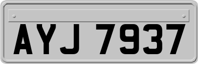 AYJ7937