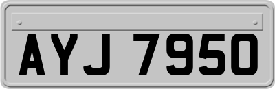 AYJ7950