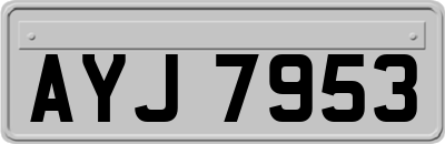 AYJ7953