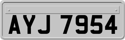 AYJ7954