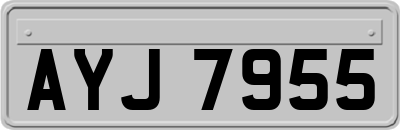 AYJ7955