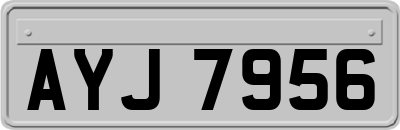 AYJ7956