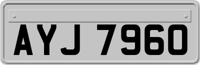 AYJ7960