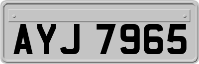 AYJ7965