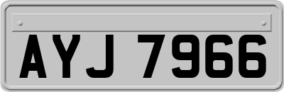 AYJ7966