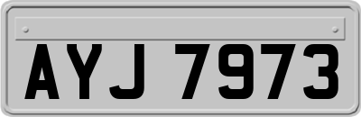 AYJ7973
