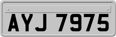 AYJ7975
