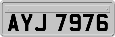AYJ7976