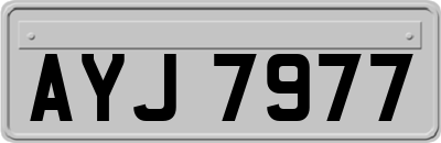AYJ7977