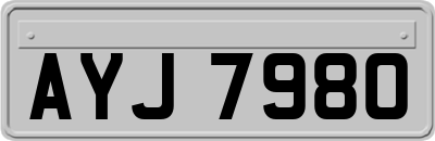 AYJ7980