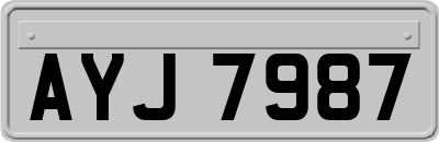 AYJ7987