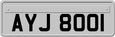 AYJ8001