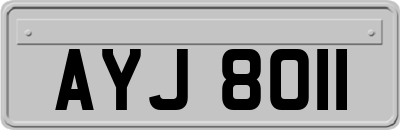 AYJ8011