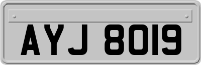 AYJ8019