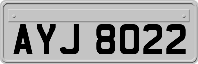 AYJ8022