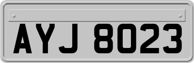 AYJ8023