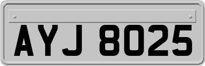 AYJ8025