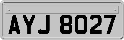 AYJ8027