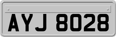 AYJ8028