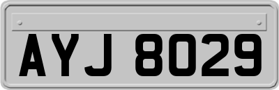 AYJ8029