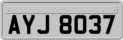 AYJ8037