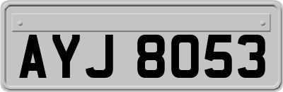 AYJ8053