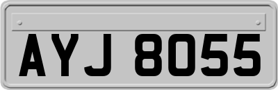 AYJ8055