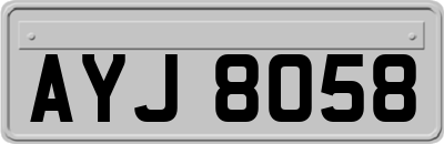 AYJ8058