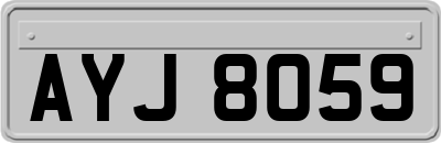 AYJ8059