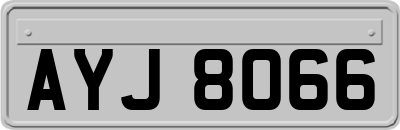 AYJ8066