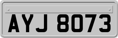 AYJ8073
