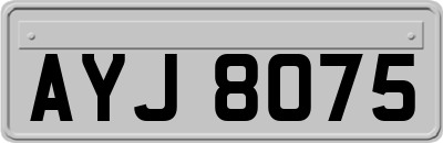 AYJ8075