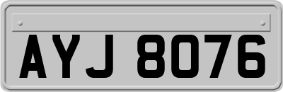 AYJ8076