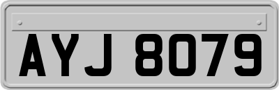 AYJ8079