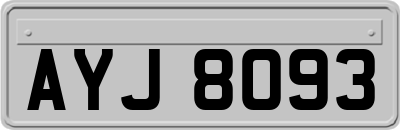 AYJ8093