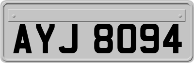AYJ8094
