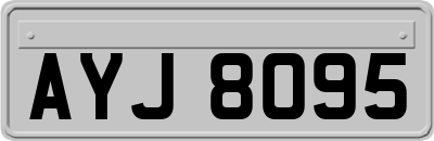 AYJ8095
