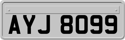 AYJ8099