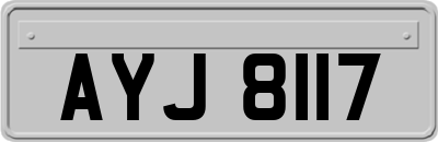 AYJ8117