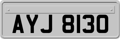 AYJ8130