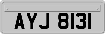 AYJ8131